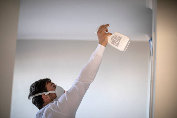 Best Industrial Mold Remediation in Washburn, WI