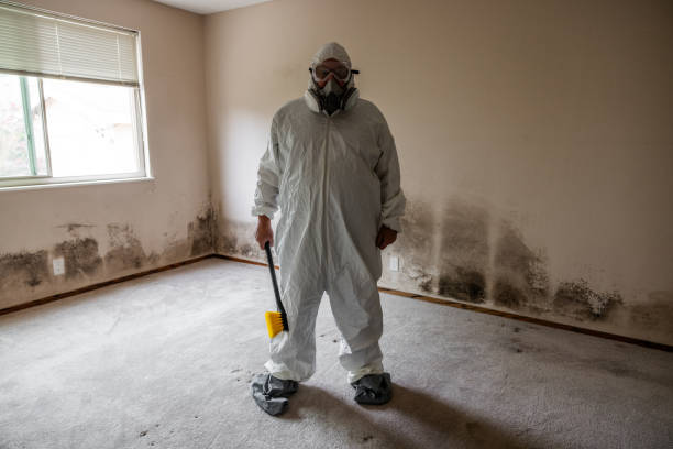 Best Mold Remediation for Specific Building Types in Washburn, WI
